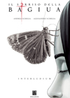Interludium