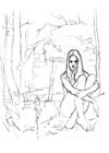 Illustrazione Lucca - Sketch 02